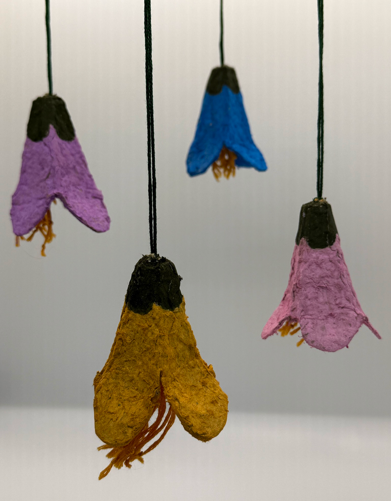 Hanging Flowers