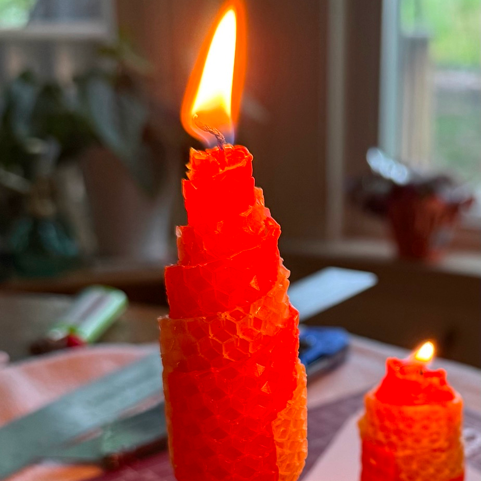 Rolled Beeswax Candles